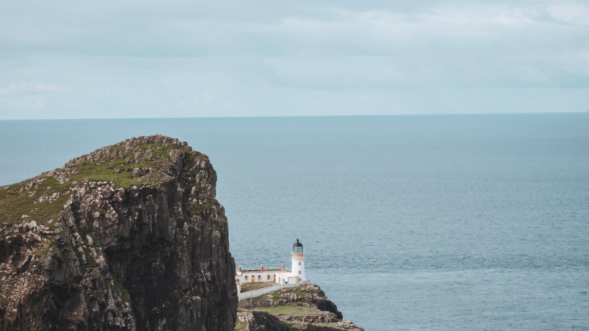 Spotting Puffins Without Disturbing Their Breeding Colony